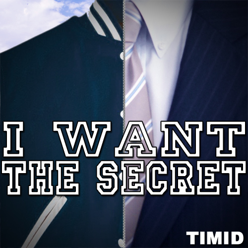 Timid - I Want The Secret